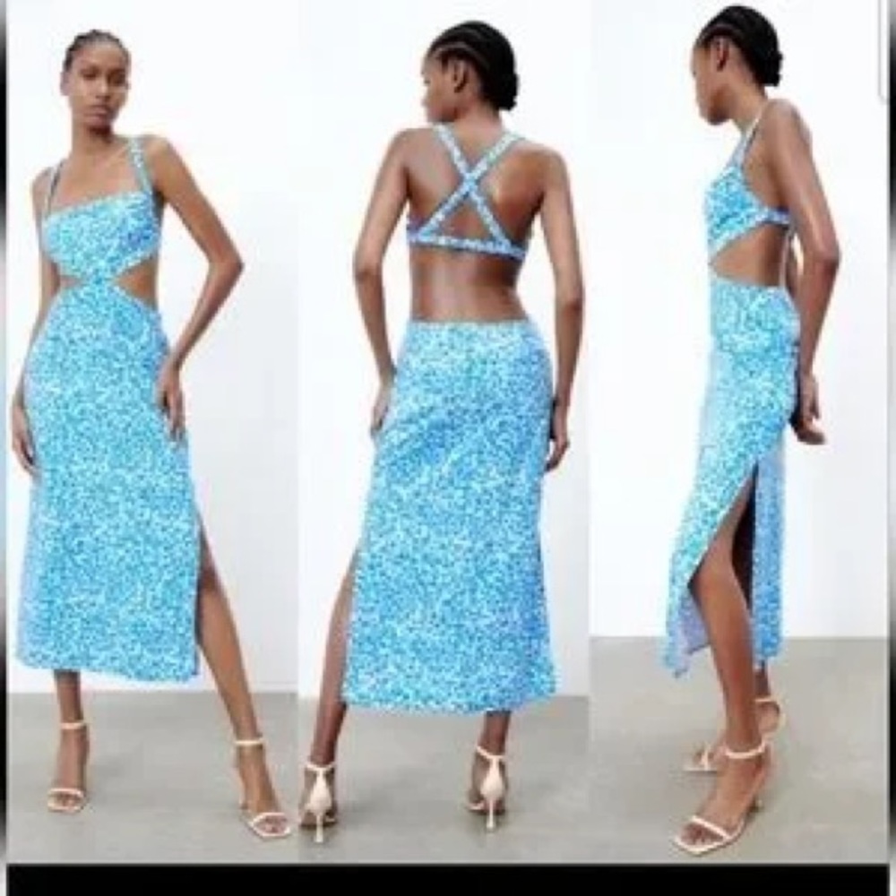 Zara Floral Blue and White Dress